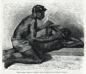 The size of the teeth in the Okanda. Drawing by D. Maillard, to illustrate the story of a trip to Gabon and the Ogooué River in 1875-1877, by Alfred Marche. Engraving in Le tour du monde