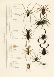 Unknown Image