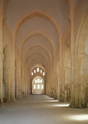 View of the Nave