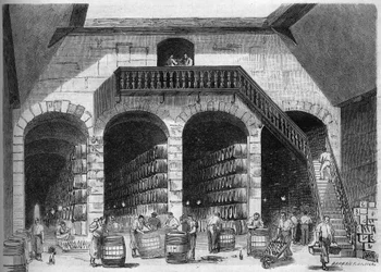 Viticulture: Internal View of the Cellars of M. Cruse et Fils Freres, Bordeaux, Gironde