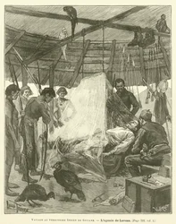 Journey to the Indian Territory of Guyana (engraving)