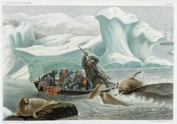 Walrus Hunting - in “The World of the Sea” by Alfred Fredol, Hachette, Paris