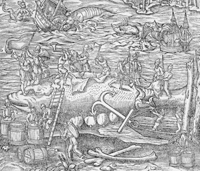 Whale Fishing, Illustration from 