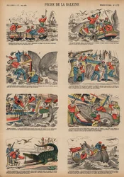 Whaling