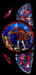Window w115 depicting the Creation of the birds - an unusual bird