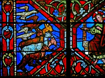Creation of the Birds and Animals