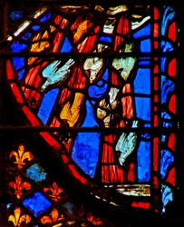 The Appearance of the Quail