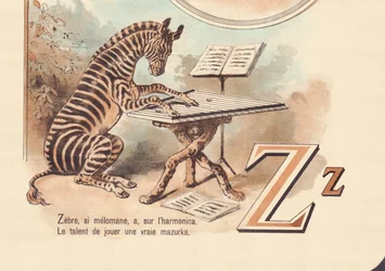 Zebra, if melomaniac, has, on the harmonica, The talent to play a real mazurka