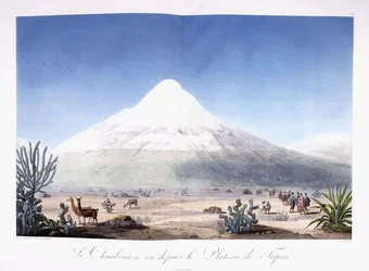 Chimborazo seen from the Plateau of Tapia