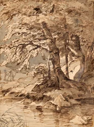 Tree Study