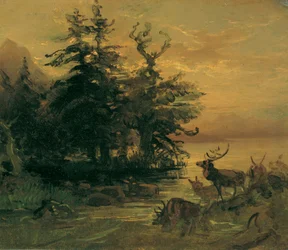 Deer Wallowing on the Shore of a Mountain Lake