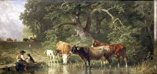 Cattle Watering at a Woodland Pond