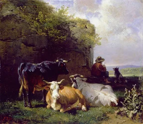 Unknown Image