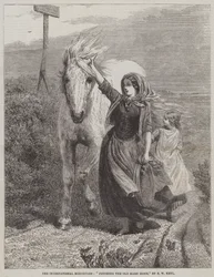 Fetching the Old Mare Home