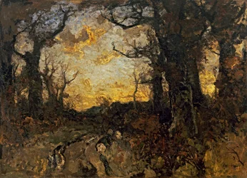 Evening in the Forest