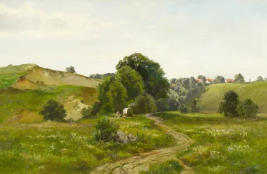 Summer Hill Landscape