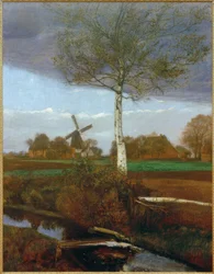 Autumn in the moor