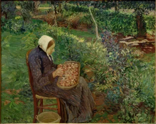 Woman Peeling in the Garden