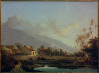 Tropical Landscape