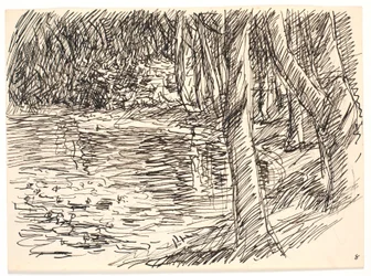 A Forest Lake