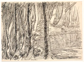 And in the Forests Deep Lakes