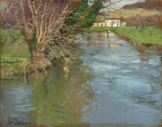 A Stream in Spring