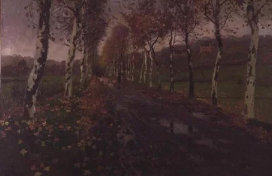 The Avenue of Silver Birches