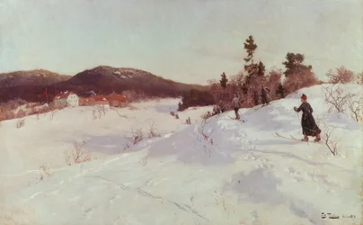 Winter with Skier