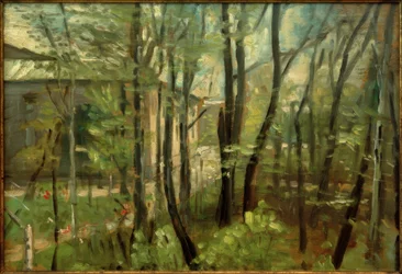 In the Area of Starnberg