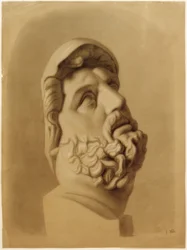 Head Detail of Laocoön
