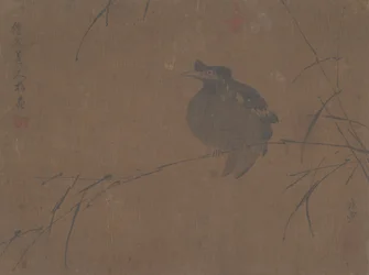 Mynah on Reed