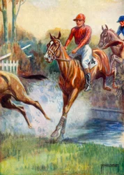 Illustration for Black Beauty
