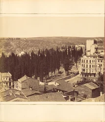 Plate 13