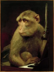 Little Monkey at the Piano