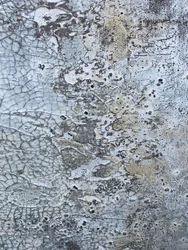 Cracked Texture Abstract