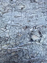 Cracked White Texture