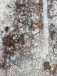 Fragment 8