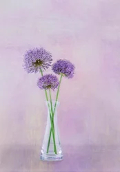 Purple Allium Vase Blooms