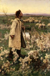 Shepherd, 1884