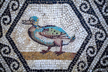 Roman Mosaic