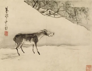 Braying Donkey