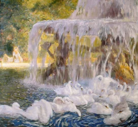 The Swans at Play