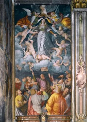 Assumption of Virgin