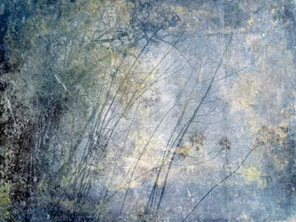 Ethereal Winter Forest
