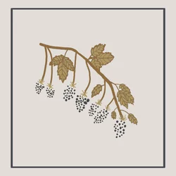 Wild Berry Branch