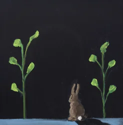 Night Rabbit