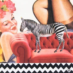 ZigZagZebra