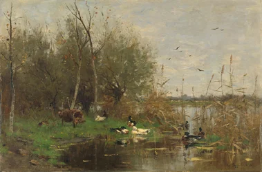 Ducks Beside a Duck Shelter on a Ditch