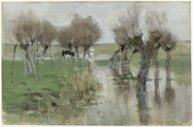 High Water in the Meadow