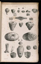 Plate 006